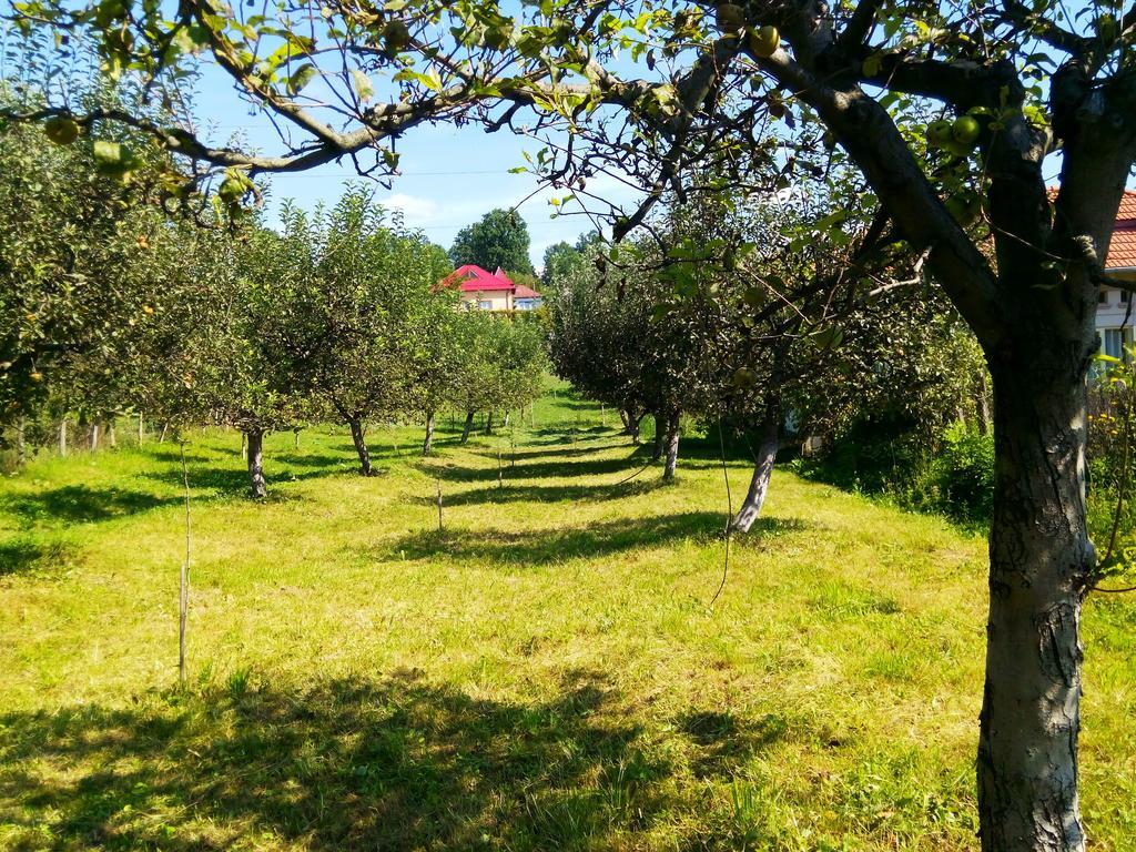 Pensiunea Dana Horezu Esterno foto